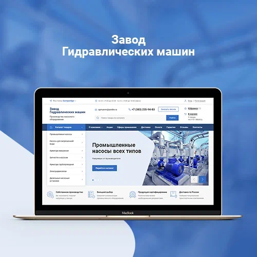 Продвижение сайта 1dnasos.com