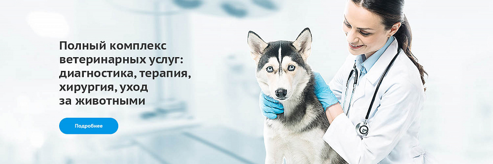 Баннеры для ветеринарной клиники «Здоровье Животных»